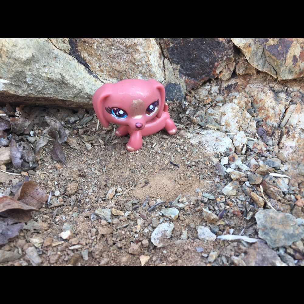 Lps Custom dachshund